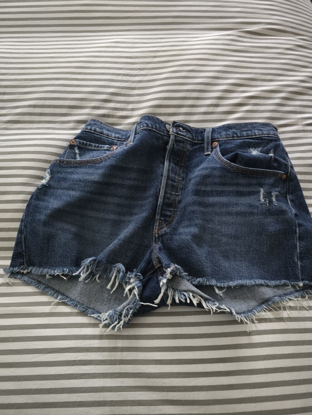 Women's 501 Levi Button Fly Shorts